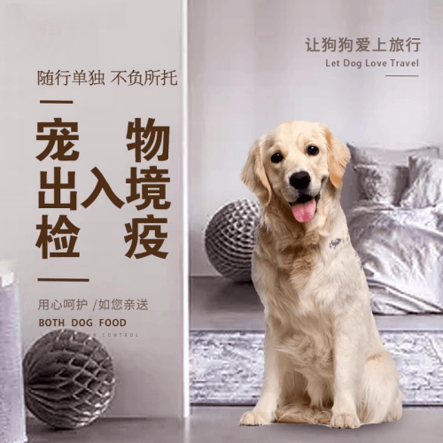 济南市宠物托运到哥伦比亚猫狗宠物入境规定和