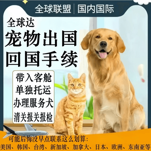 济南市宠物托运到柬埔寨宠物入境规定和要求