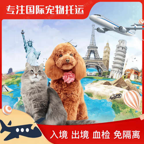 济南市宠物托运到美国宠物入境最新规定和要求