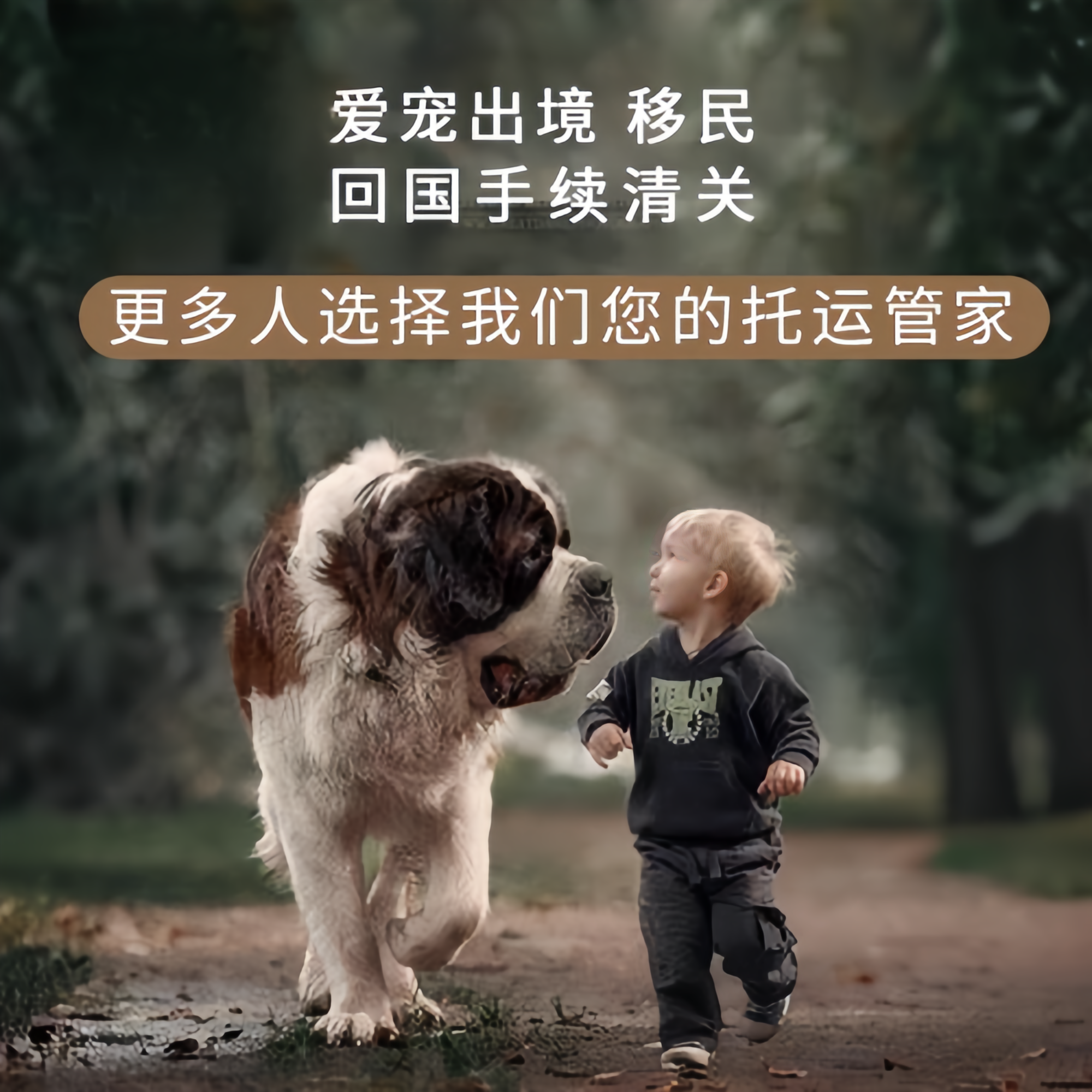 满财济南市宠物全球达宠物托运在遵守入境目的地政策的条件