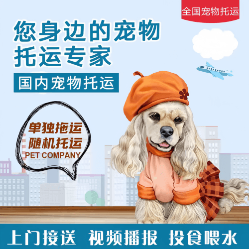 满财济南市宠物全球达宠物托运作为专业的宠物运输代理机构